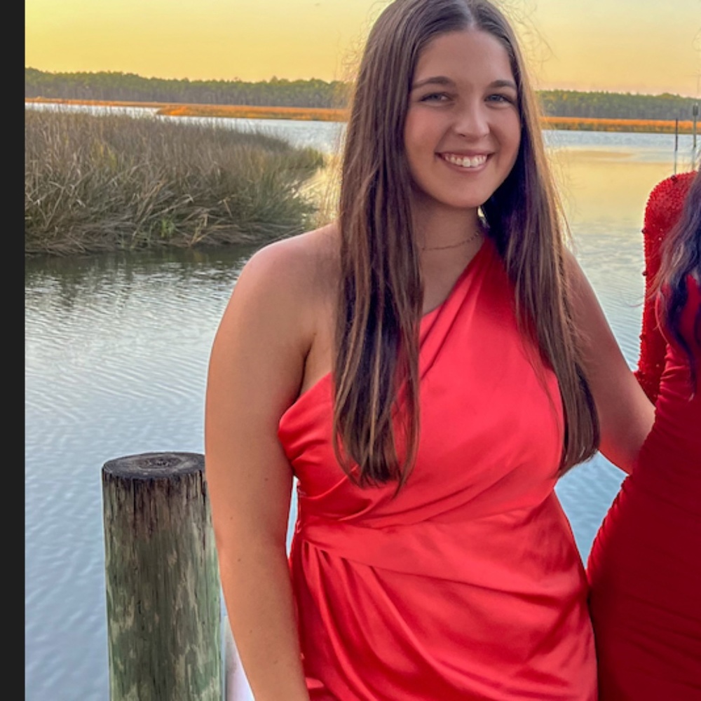 FORMAL DRESS - Picture 3 of 3